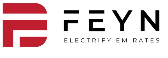 FEYN Electric Chargers